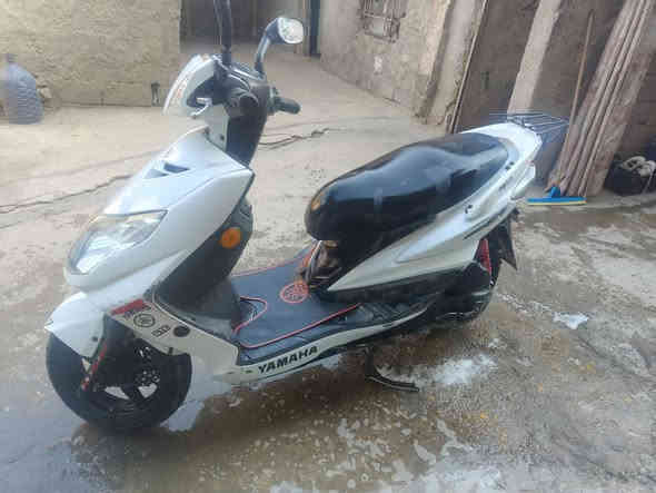 سلام عليكم دراجة سكنس فحل مكفول مصالهة هواي انزلة  للبيع كامله مكملة نكرة بكل وكت الدراجة مكاني بغداد الشعلة معروضة اب650 وبيهة مجال قليل شراي اتصل ***********
