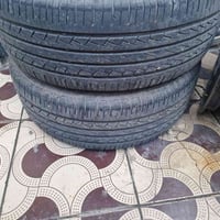 تخم ويل اسود مال كورله اصلي نضافته ١٠٠ بل ١٠٠ وزوج تيرات نضيفت ١٠٠ بل ...