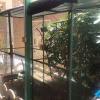 قفص طيور • بي اضويه • ويا بيوته