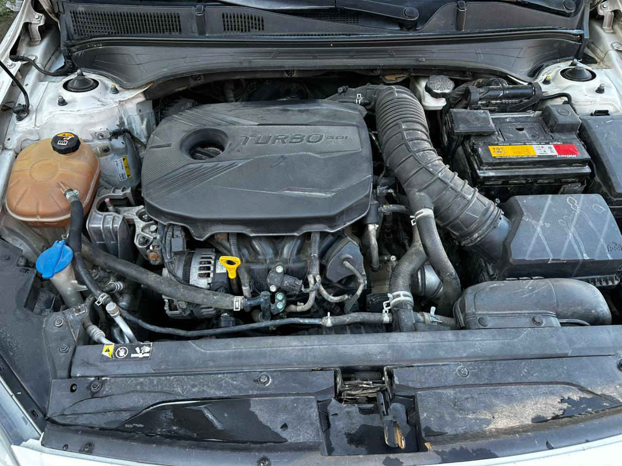 السلام عليكم فورتي موديل ٢٠٢٣ رقم بغداد بسمي شرط التحويل  وارد امريكي تبديل فقط بنيد سياره ليبل واحد بدون دواخل سياره فول مواصفات واحد ع واحد كير ومحرك وتبريد كفاله مكفولات سياره كير عادي رياضي  
كزوز بلادي تخم تاير جديد صدر خلفي امامي جديد سياره خير من الله مكان بغداد السعر ١٣٠ وبيها مجال حك الجيه رقم ***********
