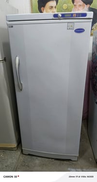 مجمدة • للبيع • نجف