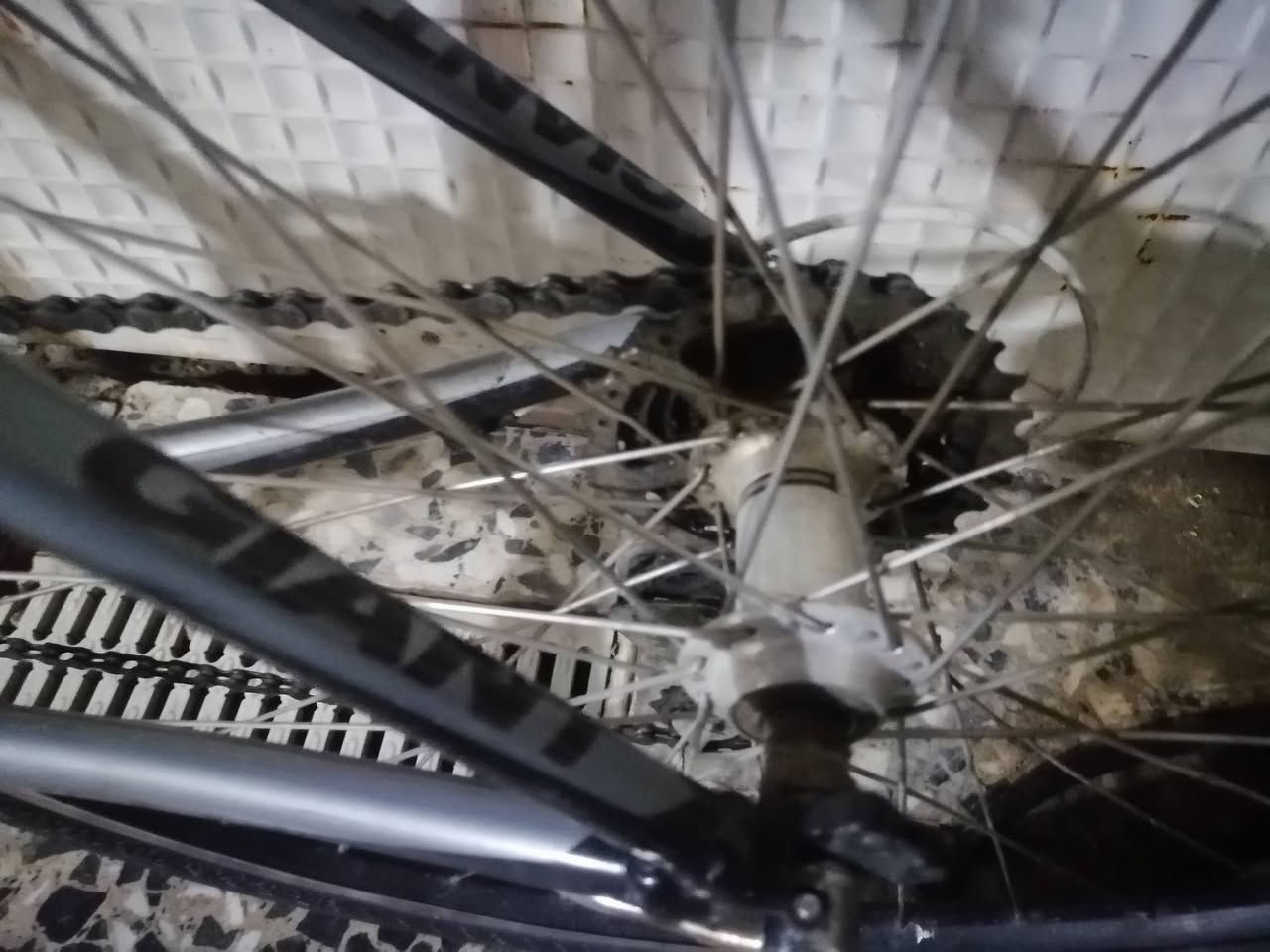 جاينت حديث
معدن خليط المنيوم كاربون فايبر خفيف جدا
دشلي خلفي 8 أمامي 3
الفريم 48
سستم شيمانو كله بالكامل
دراجة خفيفه ناعمه بالمشي
200 الف
مكاني بغداد


**إذا كنت صاحب هذا الإعلان وتريد حذفه لأي سبب، رجاءا أرسل رسالة إلى الدعم الفني**