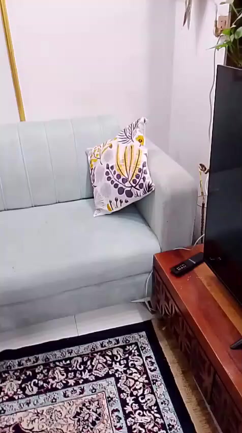 من رخصة الادمن
تخم ديوان ١٠ مقاعد نظيف تسكام مو سوكي مستعجلة على بيعته بسبب ضيق المكان للتواصل ***********
