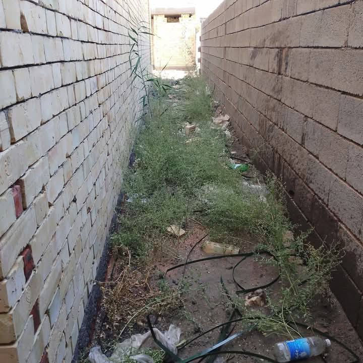 سلام عليكم  / يوجد كادر عمل جاهز/ تصعيد مواد/ تنضيف بيوت/ تفليش/ تكشيط/ تنضيف حدائق/ دفن نهري  / شقلنه ليل ونهار   /ومعداتنه جاهز/ ماعليك بس تصال على رقم  /     ***********
