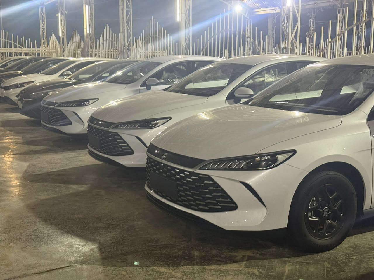 بي واي دي 2025
سيارات زيرو ترقم جميع محافظات 
السعر 116 شامل الرقم كامل 
المثنى الرميثه معرض ابداع وعلان 
تليفون ***********
