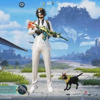 حساب للبيع • ١٢٥٠ شدات • كربلاء