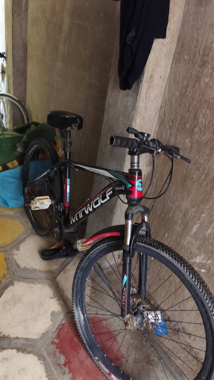 باسكل للبيع 
***********
السعر ٥٠
