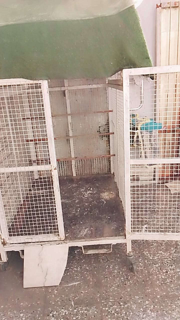 سلام عليكم
قفص حديد البيع 
ثقيل 
سعر 200 وبي مجال 
التواصل على الرقم 
***********
علوان بغداد حي اور
