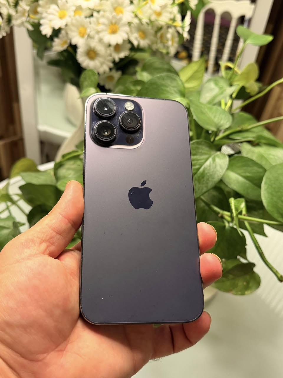 ‏سلام عليكم حبايبي iPhone 14 جهاز جديد  ‫100‏÷100‬ بطاريتها 84 للبيع مكاني على الصالح ذاكرته 256 السعر 900


**إذا كنت صاحب هذا الإعلان وتريد حذفه لأي سبب، رجاءا أرسل رسالة إلى الدعم الفني**