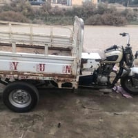 موديل 16 • اوراق ضايعه • مكفوله سرقة وعشاير