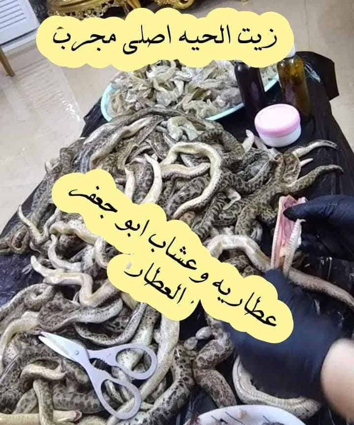 الحسينية سوق الكبير


**إذا كنت صاحب هذا الإعلان وتريد حذفه لأي سبب، رجاءا أرسل رسالة إلى الدعم الفني**