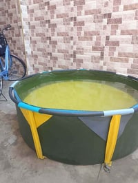 مسبح • موصل أيسر • ٧٠سم×١٫٥م