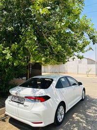 كورلا هايبرد • ٢٠٢٤ • رقم اربيل