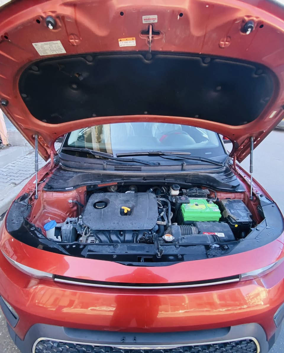 يالله السلام عليكم
كيه صول LXموديل 2020 🏁Sماشيه 48m لون مشمشي ☑️وارد امريكي  🇺🇸

حادث سياره جاملغ اليمنه  نفسه متعمر ليبل واحد سياره 

وبارد بل باب مال صدر مال جاملغ راجع عليه موجوده صور يمك بدون شاصي بدون لغد خير من الله 

موصفات السياره رادار بل مري جانبي رادر امام توقف ذاتي 

كامره تحديد مسار  شاشه كبيره كاربلي تحكم بل ستيرن كير اوتو عادي S8نمر. مكينه 2000 دوش 

سياره رقم اربيل الجديد سنويه 28 مصاقطه 

هذا رقمي *********** ☎️

شارع فلسطين
