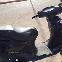 سبيسي • ياباني • الكوت