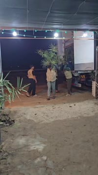 واسط • ديكور • حديقة