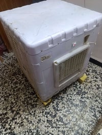 مرده سعودي • جديدة • حجم كبير