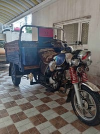 ستوته فحل مديل 2023 وراق صولي 07858844689