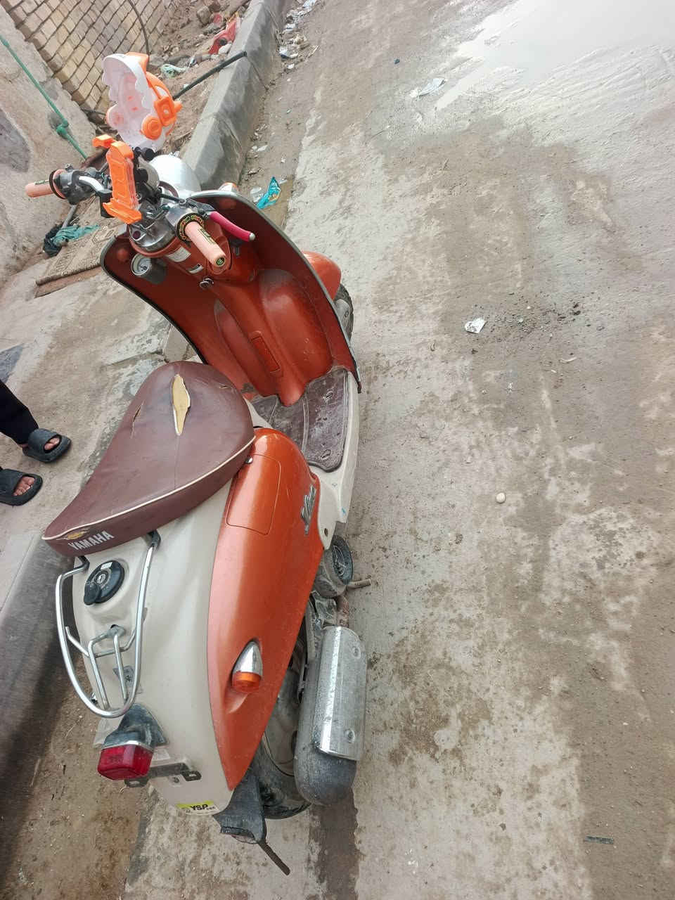 السلام عليكم مصريه فحل السعر 600 حاويه ما مفتوحه مكان الناصريه السريع ***********
