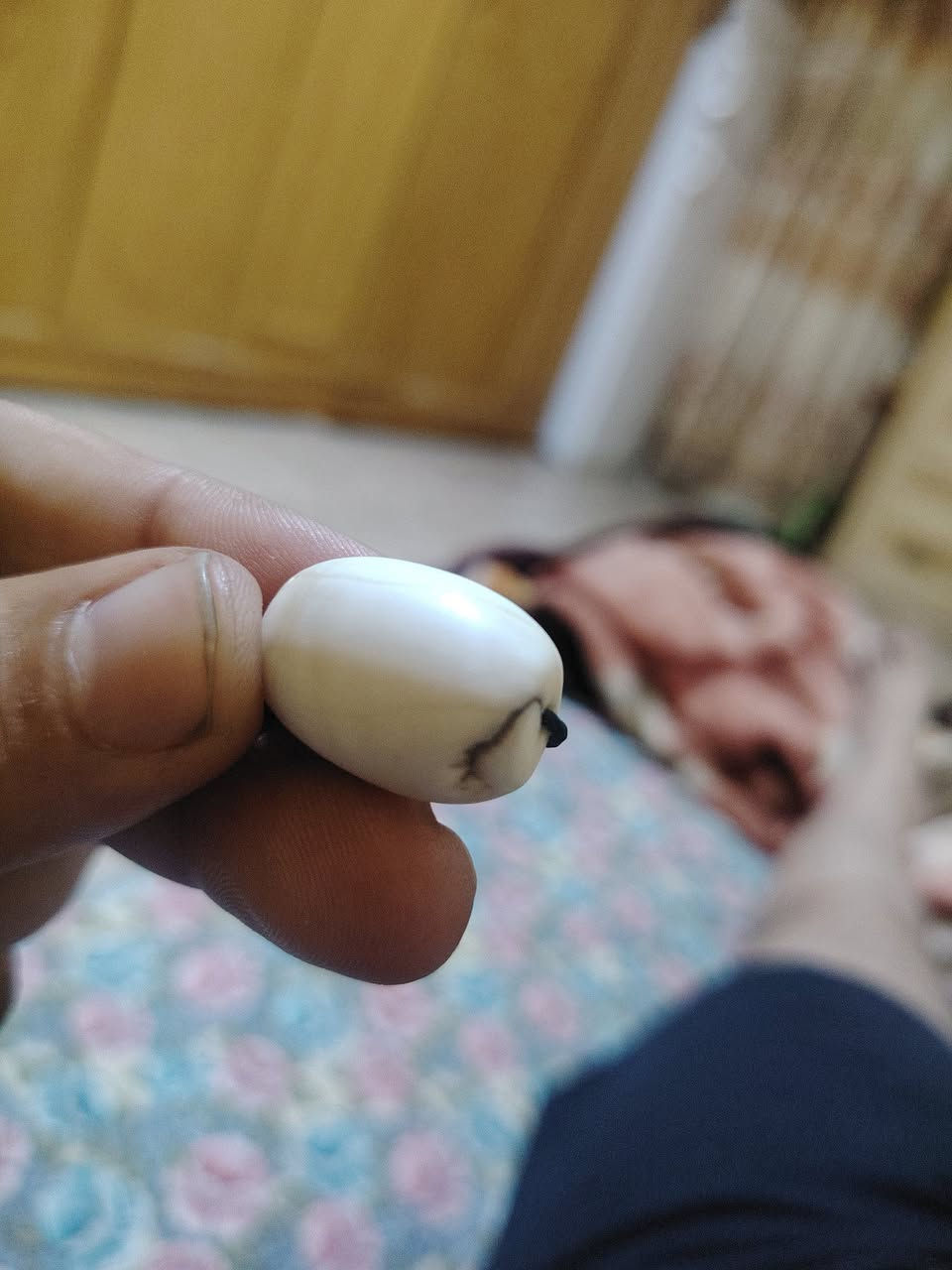 هذني لاكاهن صاحبي عسكري بل صحراء وحده شكل جمجمه واضح كلش ووحده شكله عجيب وكلهن يشف بيهن الضوه ثقبهن وسواهن كلاده


**إذا كنت صاحب هذا الإعلان وتريد حذفه لأي سبب، رجاءا أرسل رسالة إلى الدعم الفني**