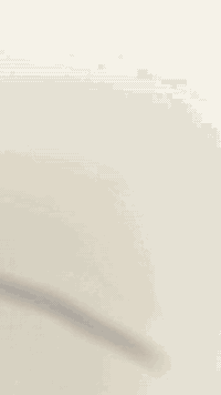 ماكس • معدّل • فحل