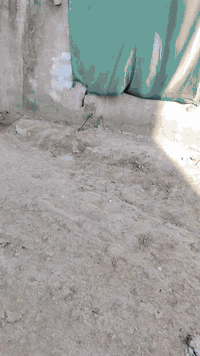 من رخصت مدير الكروب السلام عليكم بيت مساحه 50 متر طابقين للايجار  شغل جديد سعر الإيجار 250  باقي التفاصيل بالفيديو العنوان الزعفرانيه شارع الكهرباء دور الشرطه قرب مولدة المصري قرب أسواق قطر الندئ  للاستفسار الاتصال *********** زراعي البيت
