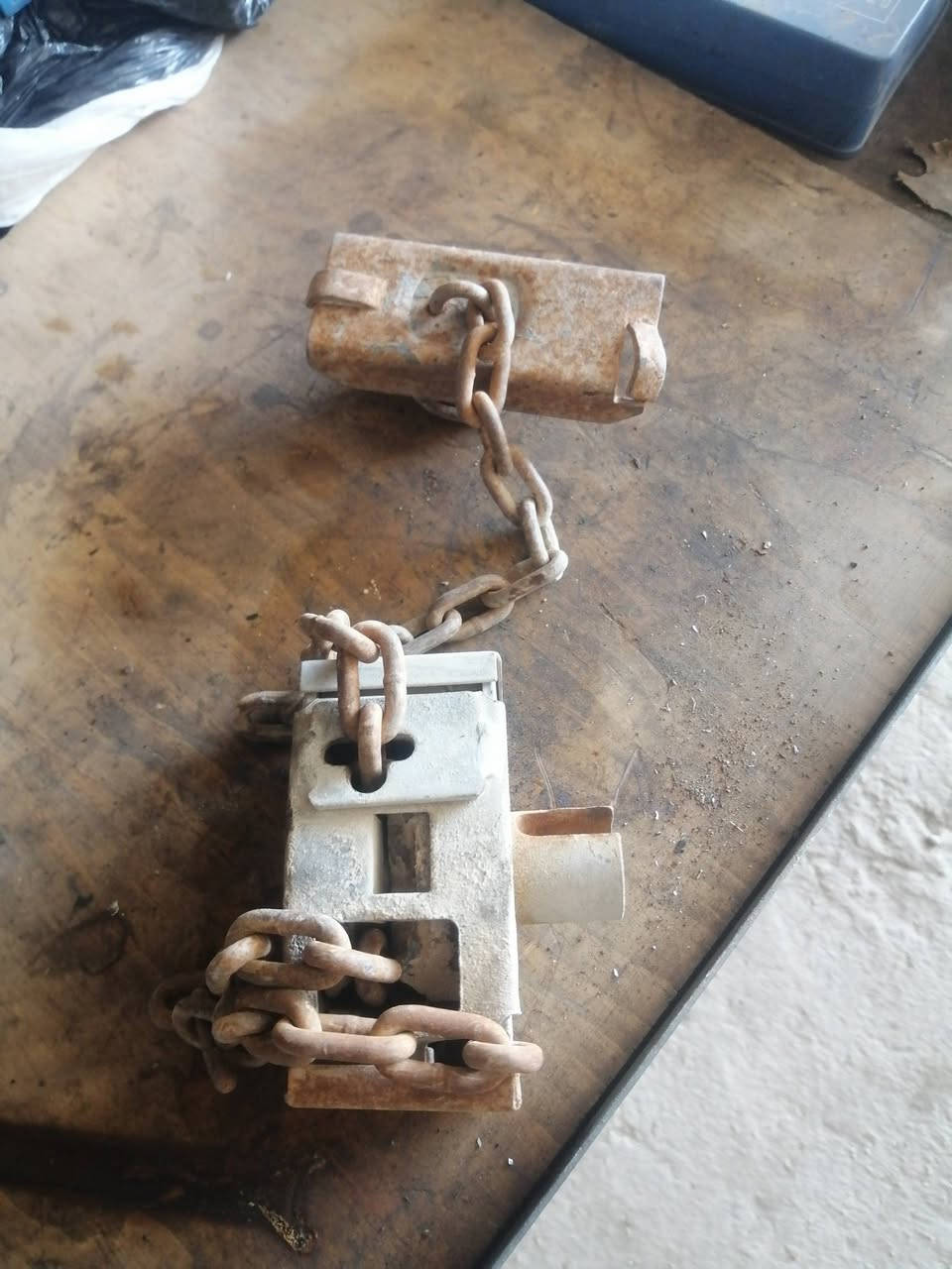 غراض سيارة دير العنوان ذي قار الرفاعي حي صناعي بلوك الاول ***********
***********

