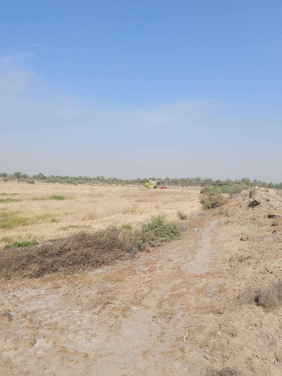 🌾 إعلان بيع أرض زراعية مميزة 🌾

📍 الموقع:
الحلة / بابل / السوملي
قرب نهر عتاب – قرية البوكزار

🔹 نوع الأرض: طابو زراعي
🔹 المساحة الكلية: 10 دونم
🔹 إمكانية البيع: من 1 دونم إلى 10 دونم

✅ مناسبة للسكن والزراعة
✅ تتوفر فيها:
💧 ماء إسالة
💧 ماء سقي
🌱 الأرض مزروعة حالياً بمحصول الحنطة

👤 صاحب الأرض:
الشيخ فائز تركي السند

📞 للتواصل:
1️⃣ ***********
2️⃣ ***********
