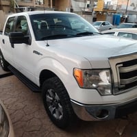 فۆرت F150 • ٢٠١٣ • ٤x٤