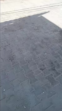 حي النصر • ١٠٠م • كونكريت مسلح