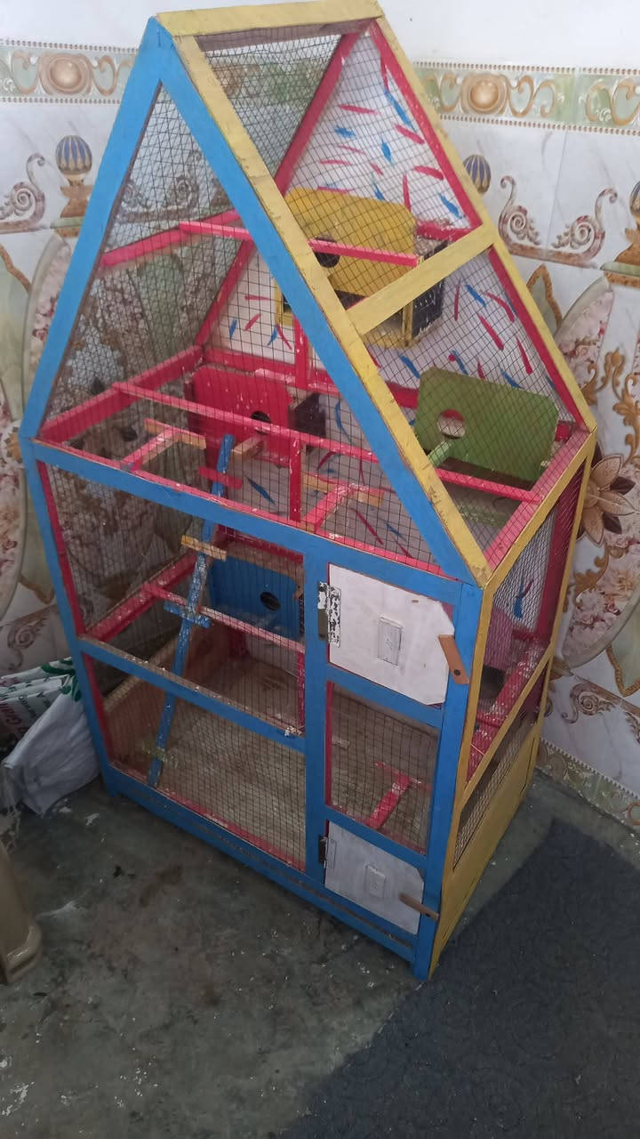 قفص للبيع السعر 25


**إذا كنت صاحب هذا الإعلان وتريد حذفه لأي سبب، رجاءا أرسل رسالة إلى الدعم الفني**