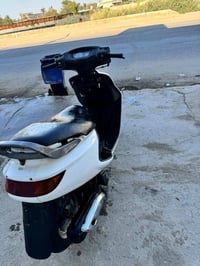 فراشة نثيه • محرك برقي • كفالة