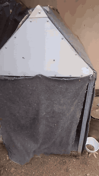 طيور الحب للبيع مع القفص ٠٧٨٢٩١٢٤٨٥٩