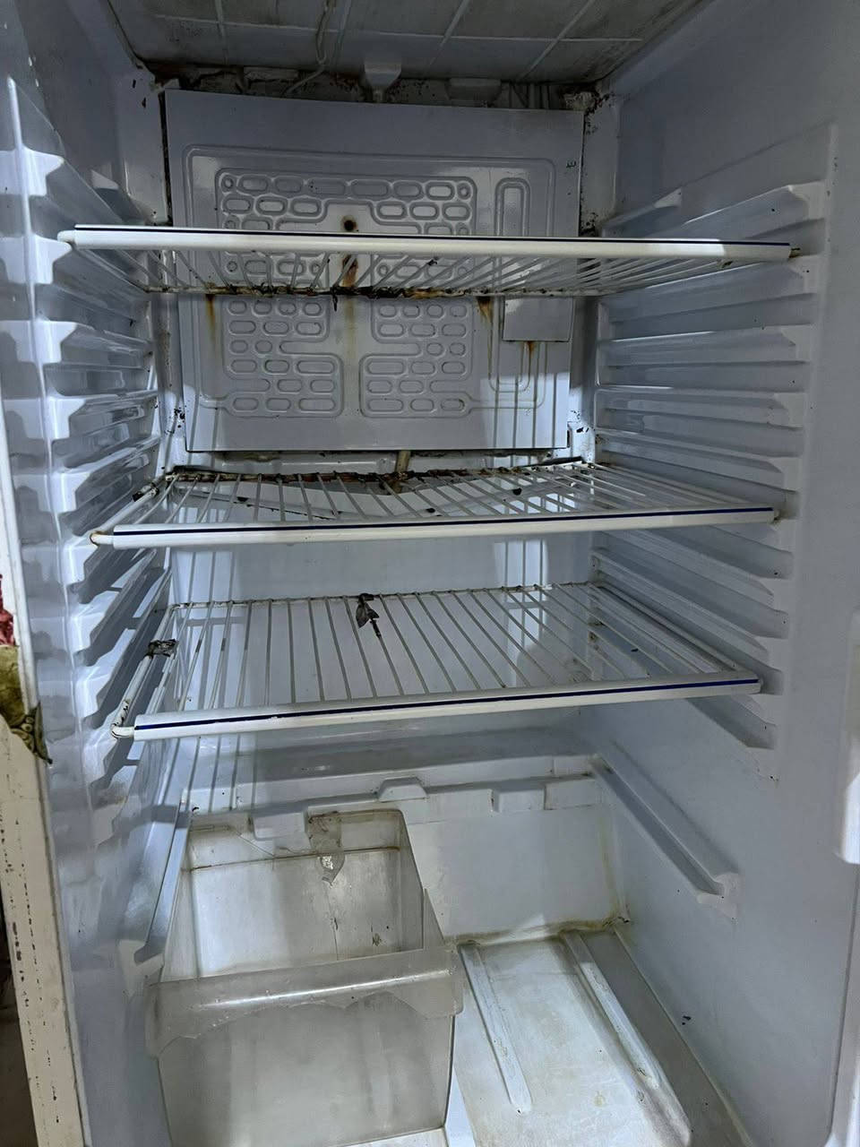 غراض للبيع كلهن نضيفات كلمن وسعره


**إذا كنت صاحب هذا الإعلان وتريد حذفه لأي سبب، رجاءا أرسل رسالة إلى الدعم الفني**