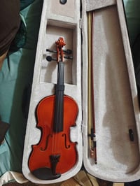 ٦ قطع • ألوان مختلفة