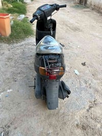بطة • نضيفه • وصل معرض
