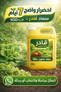 للاتصال وات ساب 07742430571