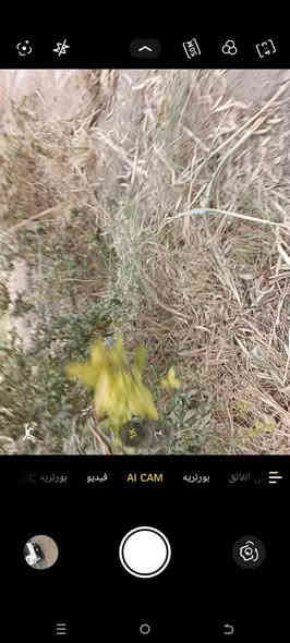 السلام عليكم للبيع ازوزه 94بغداد بسمي مكينه اتبخر كير اكسل مكفول شاصي مكفول تايرات جديد مكاني حله جبله الاستفسار ***********@***********
