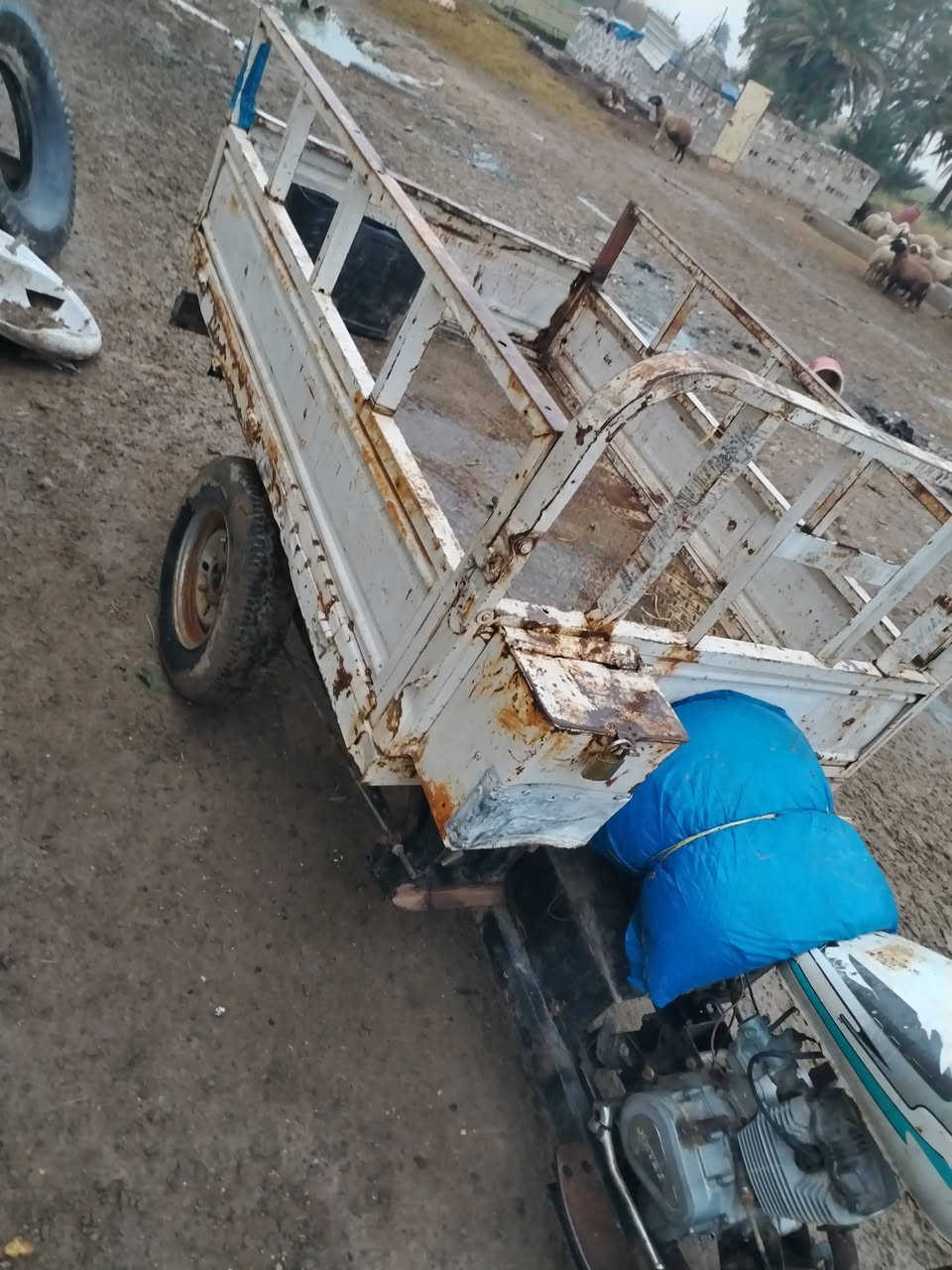 السلام عليكم ستوته للبيع هاي الموجوده سعرهه مناسب لي يحب يتصل ***********(مكلف بل نشر)
