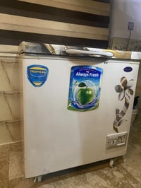 مجمدة • ٩ قدم • كونكرد أصلي