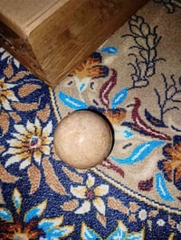 حجر زينة • جميل • أليف