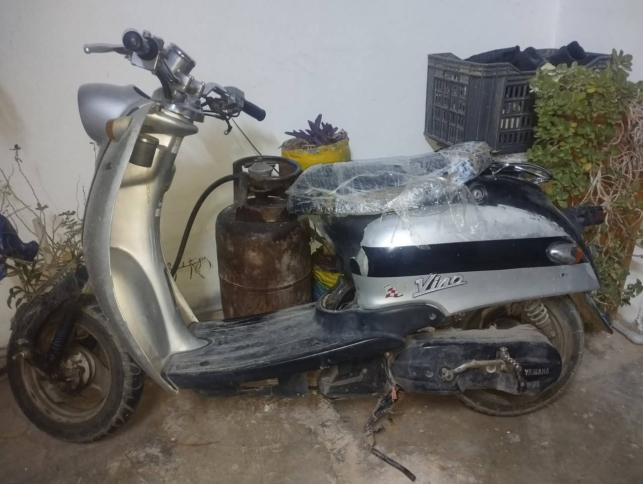 ماطور عبد الحليم للبيع الواني شورجه اي عيب ما بيها بس كابريتر شويه مو تمام وشرط المك وكفرات كله وياها وسعر 250 
*********** على واتساب خابرني
