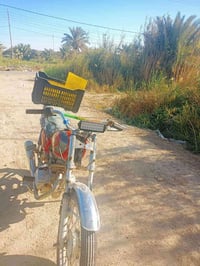 دراجه سفانه • ما ناقصها • السماوة الرميثة