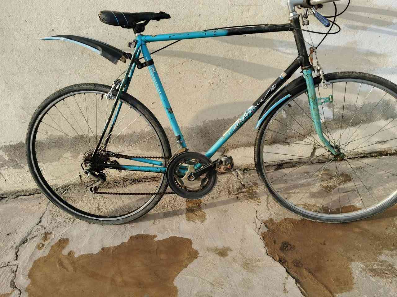 باسكل مال سباق شرط كلو شعال حجم 27 للمعارض باسكل مال باله او عبد الحليم نضيف ***********
