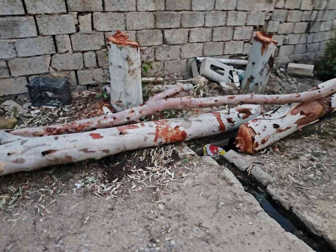 للبيع ماعرف شكد يسوه


**إذا كنت صاحب هذا الإعلان وتريد حذفه لأي سبب، رجاءا أرسل رسالة إلى الدعم الفني**