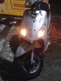 للبيع ماكس منغولي درجه كفاله عامه درجه كله شغاله كفرات نضيفه كله ختم و...