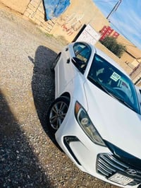 إلنترا • ٢٠١٨ • شركاط