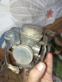 كابريترات ٢ مال سكنس فحل وحده مال فراشه يرادلهن تنظيف قيم وأخذ مكاني  ...