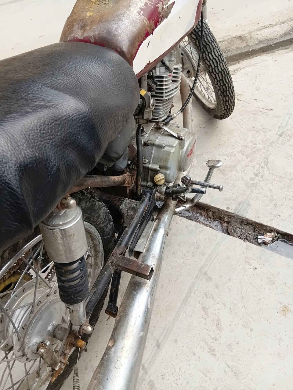 بارت عيتاني 9999السعر 80الدوسه مال بريك طاكه


**إذا كنت صاحب هذا الإعلان وتريد حذفه لأي سبب، رجاءا أرسل رسالة إلى الدعم الفني**