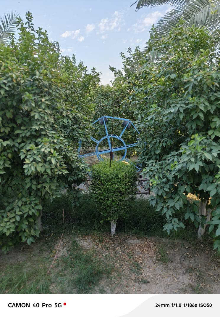 ياالله مزرعه مساحتها 1600م علئ طريق ياحسين كربلاء بغداد قبل جسر المسيب مقابيل منتزه الارجوان تبعد عن الشارع العام 80م جنس الارض طابو زراعي سند ٢٥ تحويل مباشر مشجره كل انواع الاشجار مثمره مع بناء 150م
الاستفسار :🏡 الاتصال علئ الارقام ⬇️
*********** 📲اتصال
*********** 🟩وتساب 
جاهزون لعرض كافه العقارات
